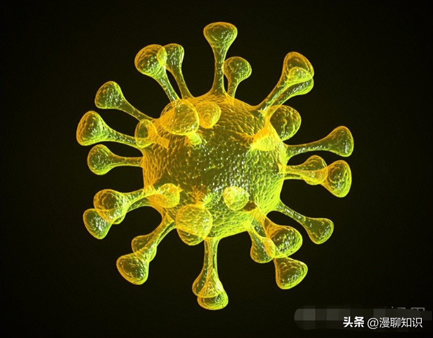 猫会感染人的疾病的图片,猫病毒检测cpr可以测出什么病毒