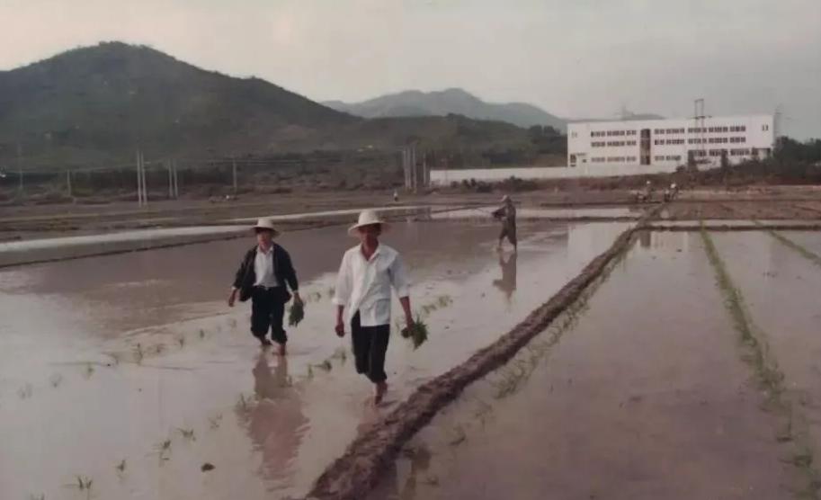 为什么古代要重男轻女,古代人为什么重男轻女