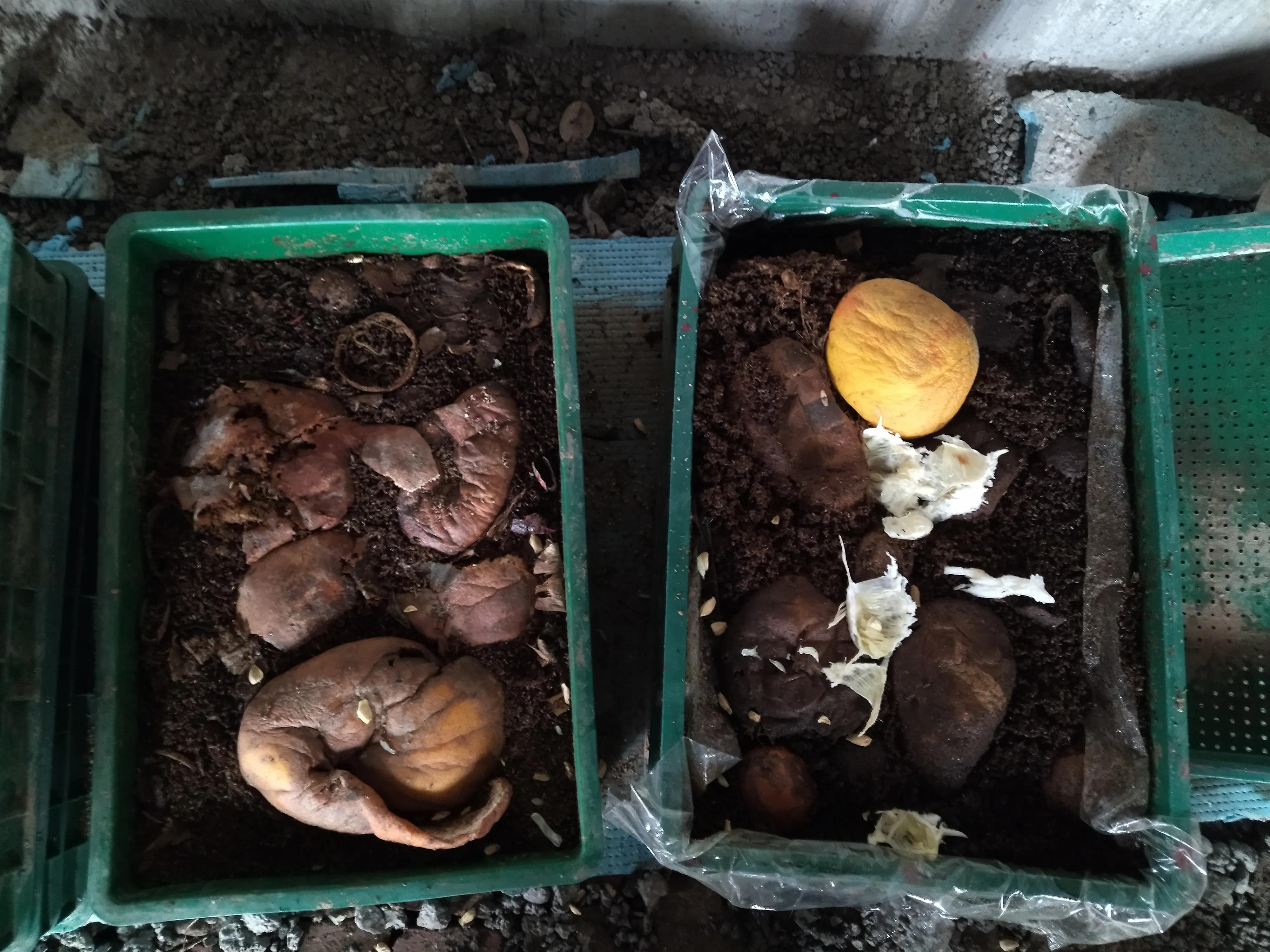 现今零成本好的致富门路,简单致富小生意