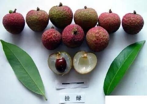 北京一斤荔枝卖1049元，从雪糕刺客到荔枝刺客；是收智商税吗？