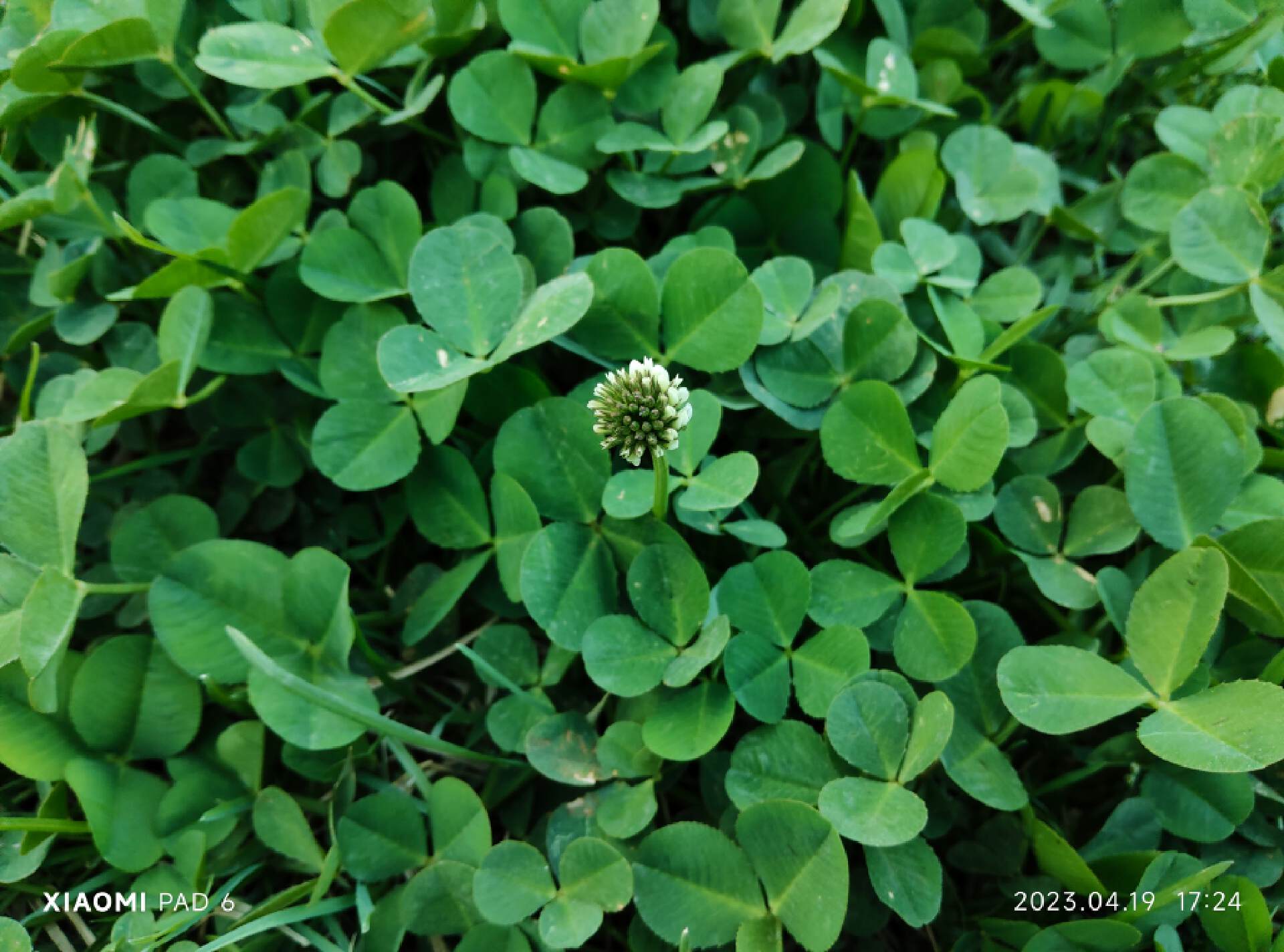 小米平板6系列首发开箱,小米平板6系列开箱测评