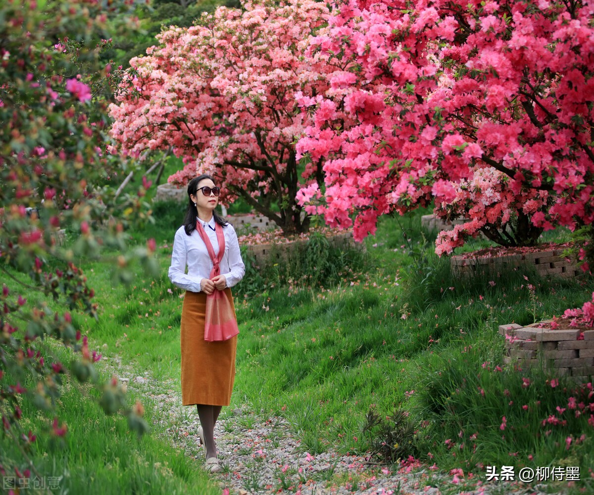 老年摄影拍照技巧,老年人像摄影摆姿技巧大全