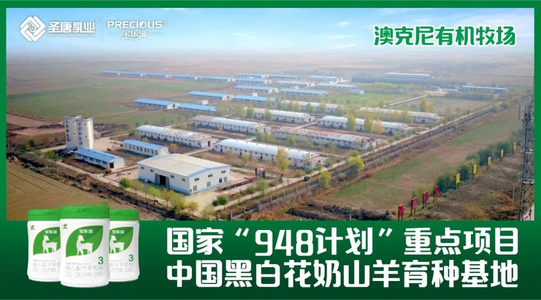 有机a2全脂乳粉,有机a2奶粉珍护