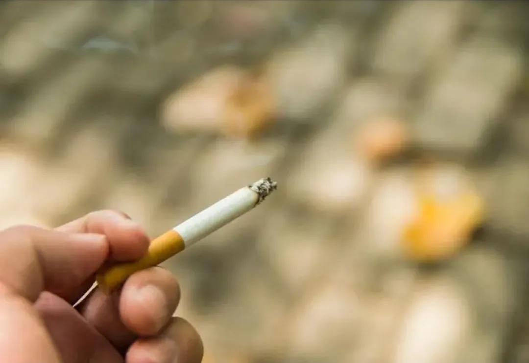 为什么开始禁槟榔,多地禁槟榔影响种植吗