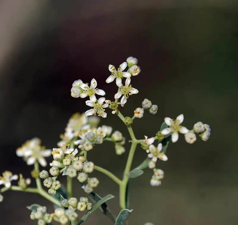 给你全部的温情与热爱,想给你全部的温情和热爱