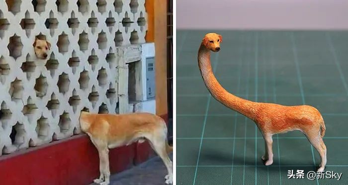 哈哈哈，这个神经手办又双叒更新了，笑惨我了