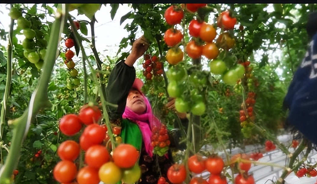 中央定调2023年楼市房价,官方定调中国楼市发生重大变化