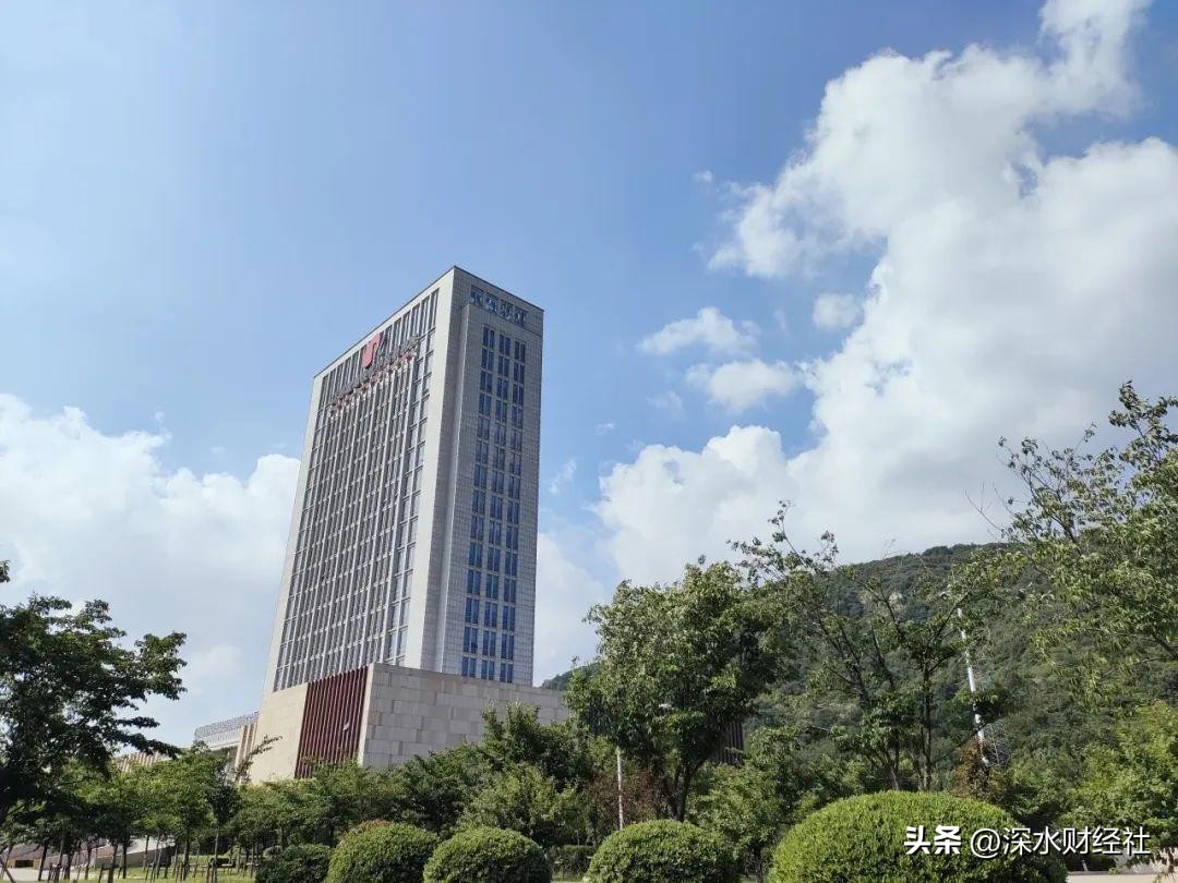 康缘药业优秀员工,康缘药业的高管持股