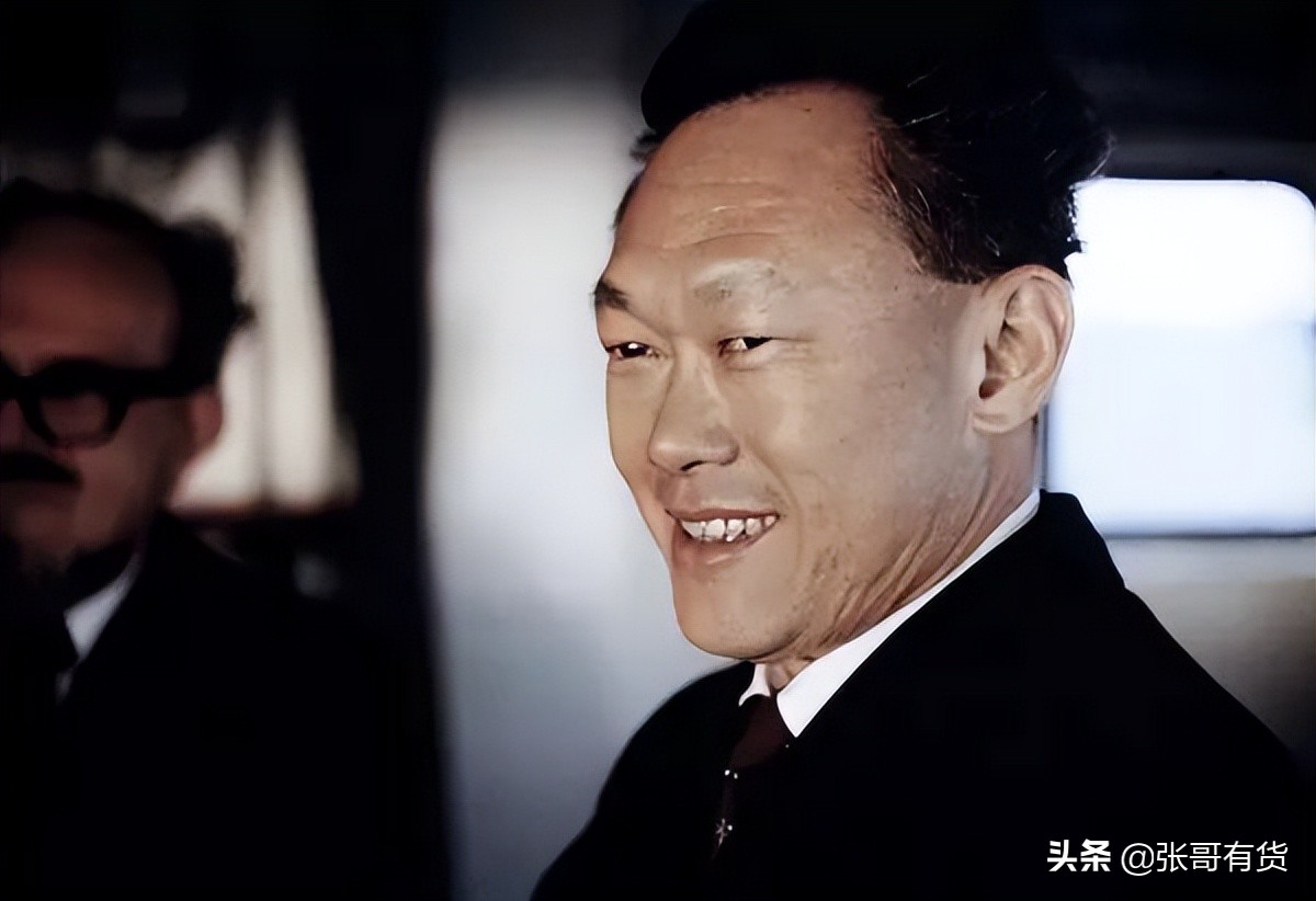 新加坡淡马锡有多厉害,新加坡淡马锡模式