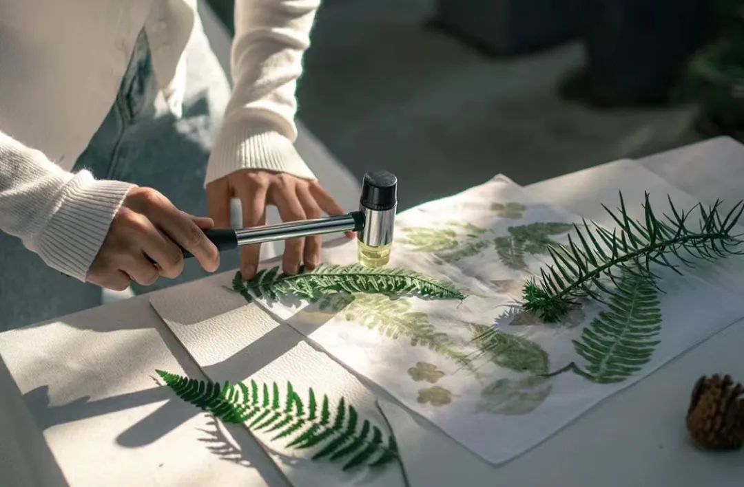 遂昌五一节旅行,遂昌旅游五一