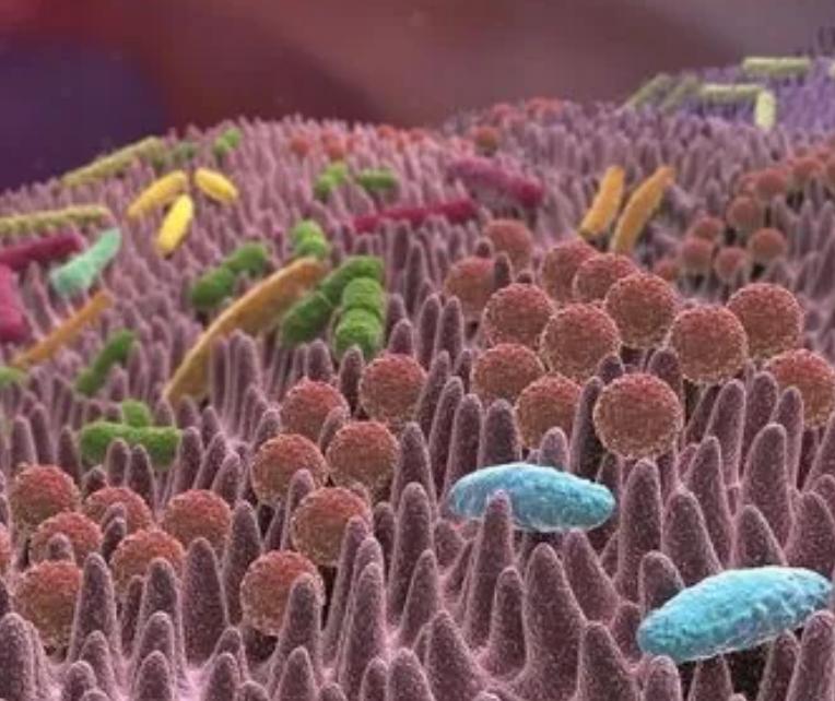 你知道女性的阴道有多长吗?或许与你所想,完全不同!