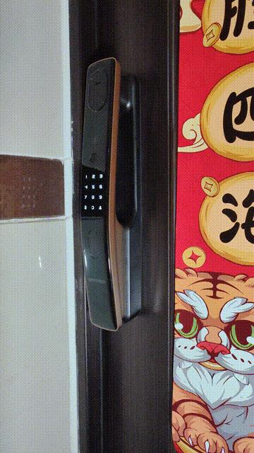 鹿客s50f人脸3d识别智能锁,鹿客智能锁s50f暴力测试