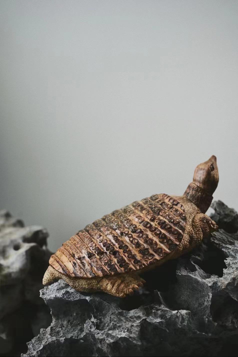 原来竹子还可以这样玩，太美了