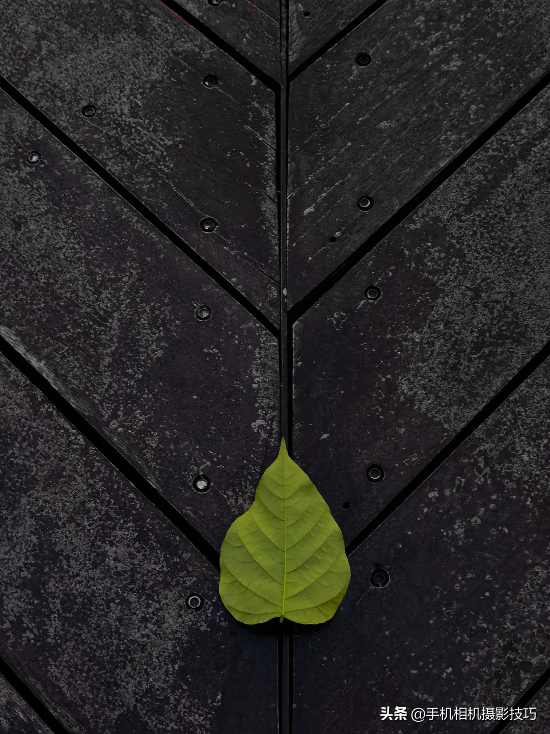 18组照片,18幅普通人拍出来的好照片