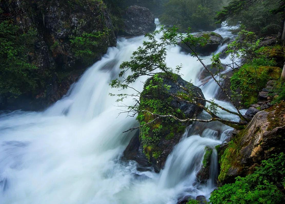 木格措对比木雅圣地海拔,四川木格措雪山草甸湖泊