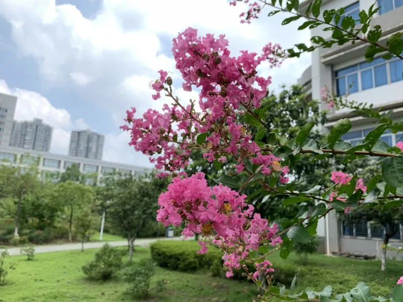 为什么选择华夏理工？十大理由告诉你！