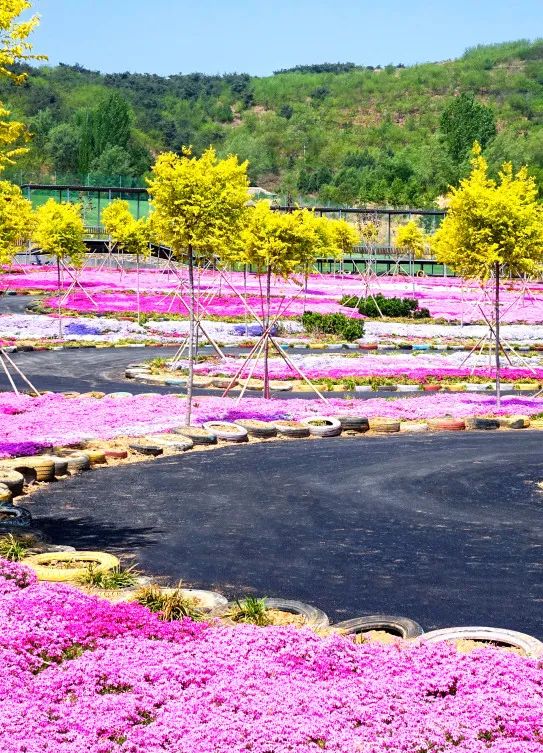沂蒙山绝美风光,沂蒙山神秘的景点