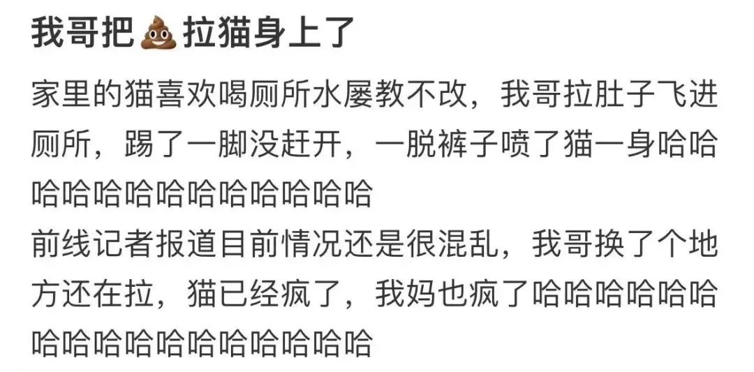 我哥窜稀，喷了我家猫一头粑粑！猫：我屎到淋头了...
