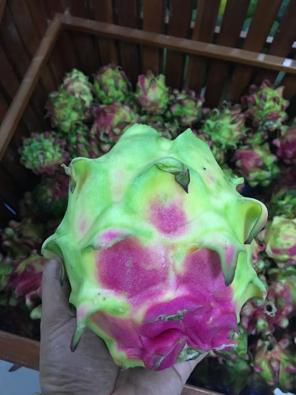 青山印尼项目,青山印尼钢铁厂