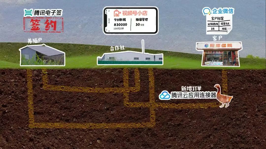 宁夏供销电商携手宁夏好粮油共同助力区域农产品品牌走向全国