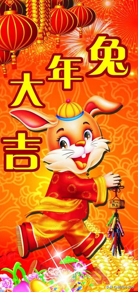 兔年相关的兔子,兔年的兔子