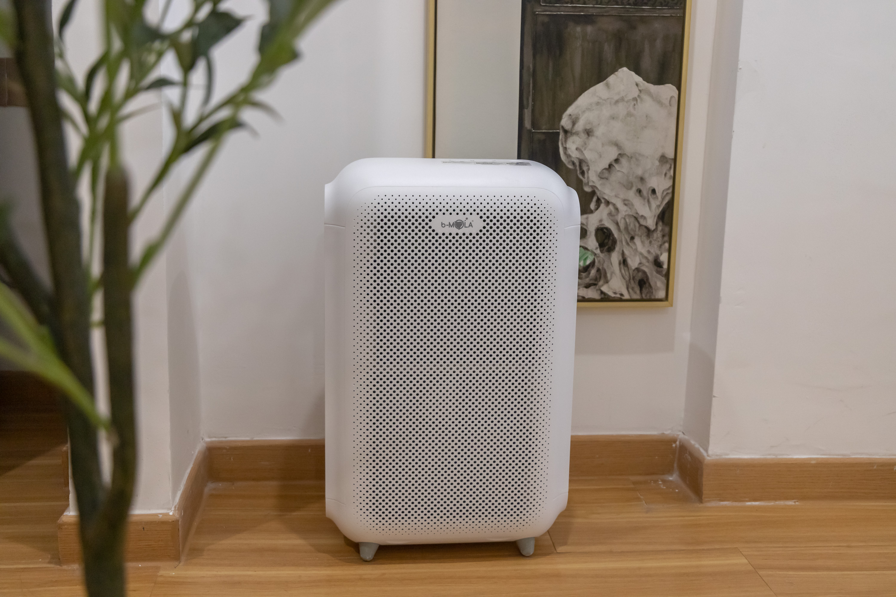 家里养狗养猫用空气净化器管用吗,养猫买空气净化器还是新风机