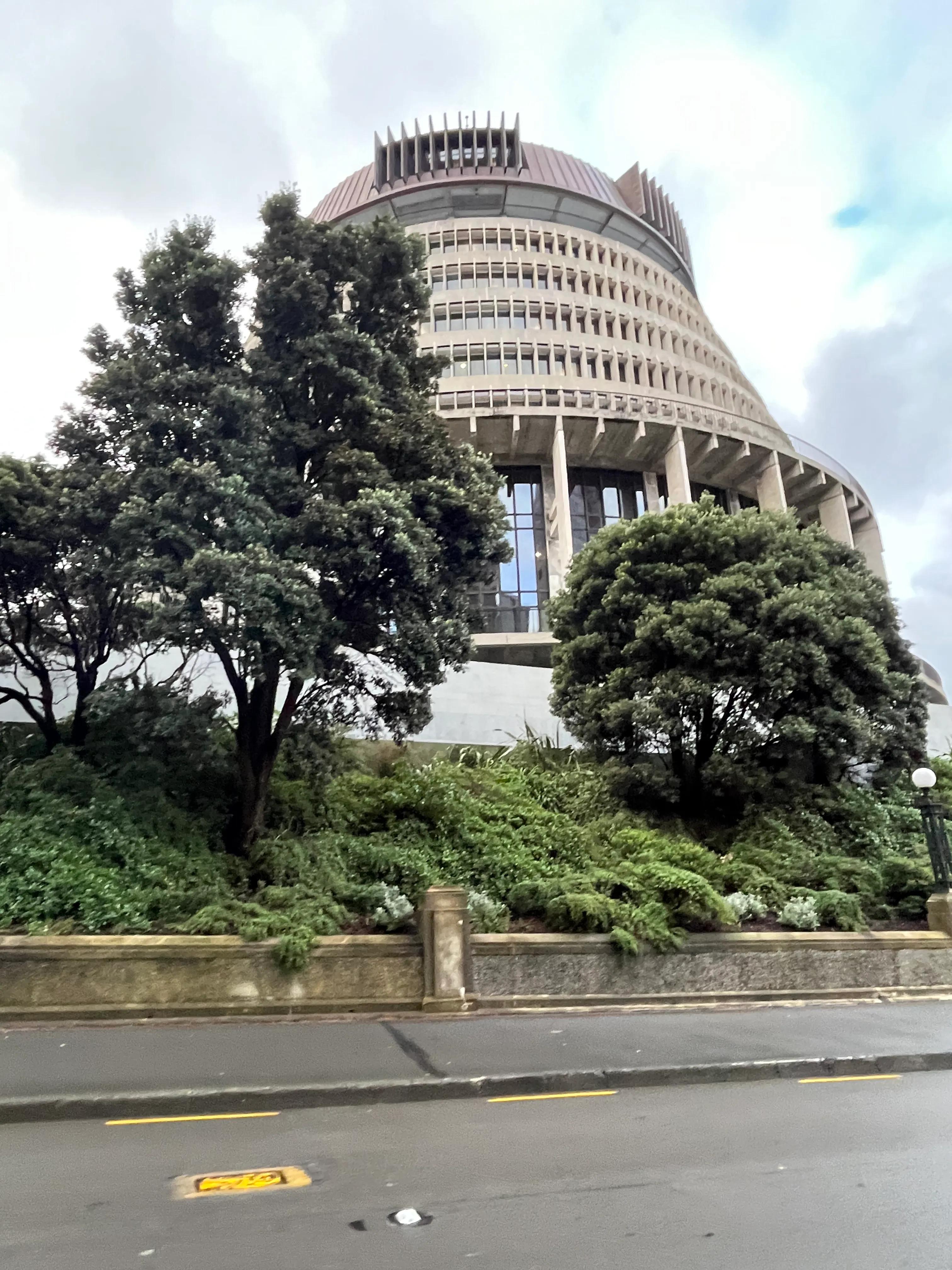 一年一端午，一岁一安康，千里赴粽宴，亲情盈满堂