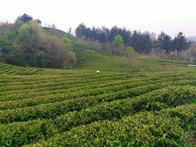一座适合养老的小城市,一座很适合养老的城市