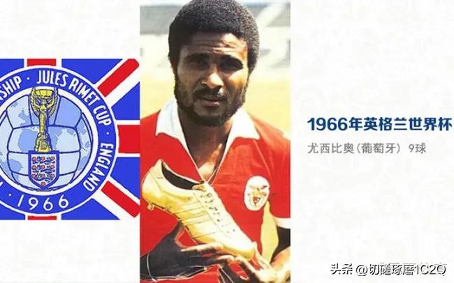 历届男子世界杯单打冠军,历届世界杯女单冠亚军