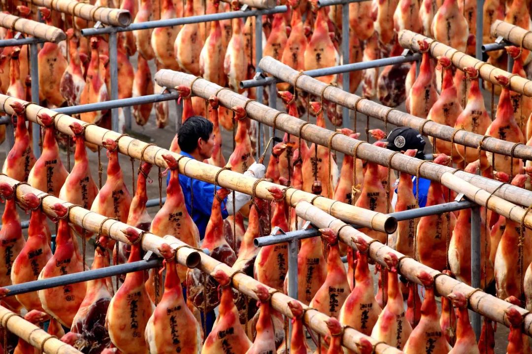 养猪大叔一年赚多少钱,四川大爷养猪完整视频