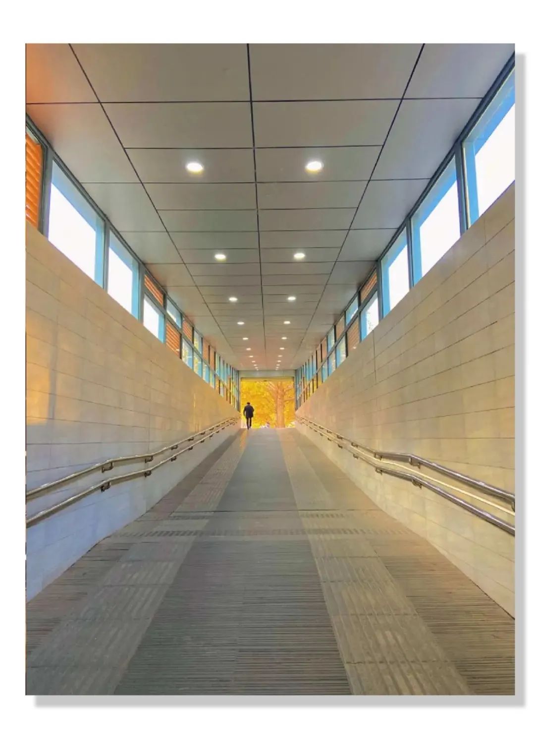 每日休年假,统一休年假