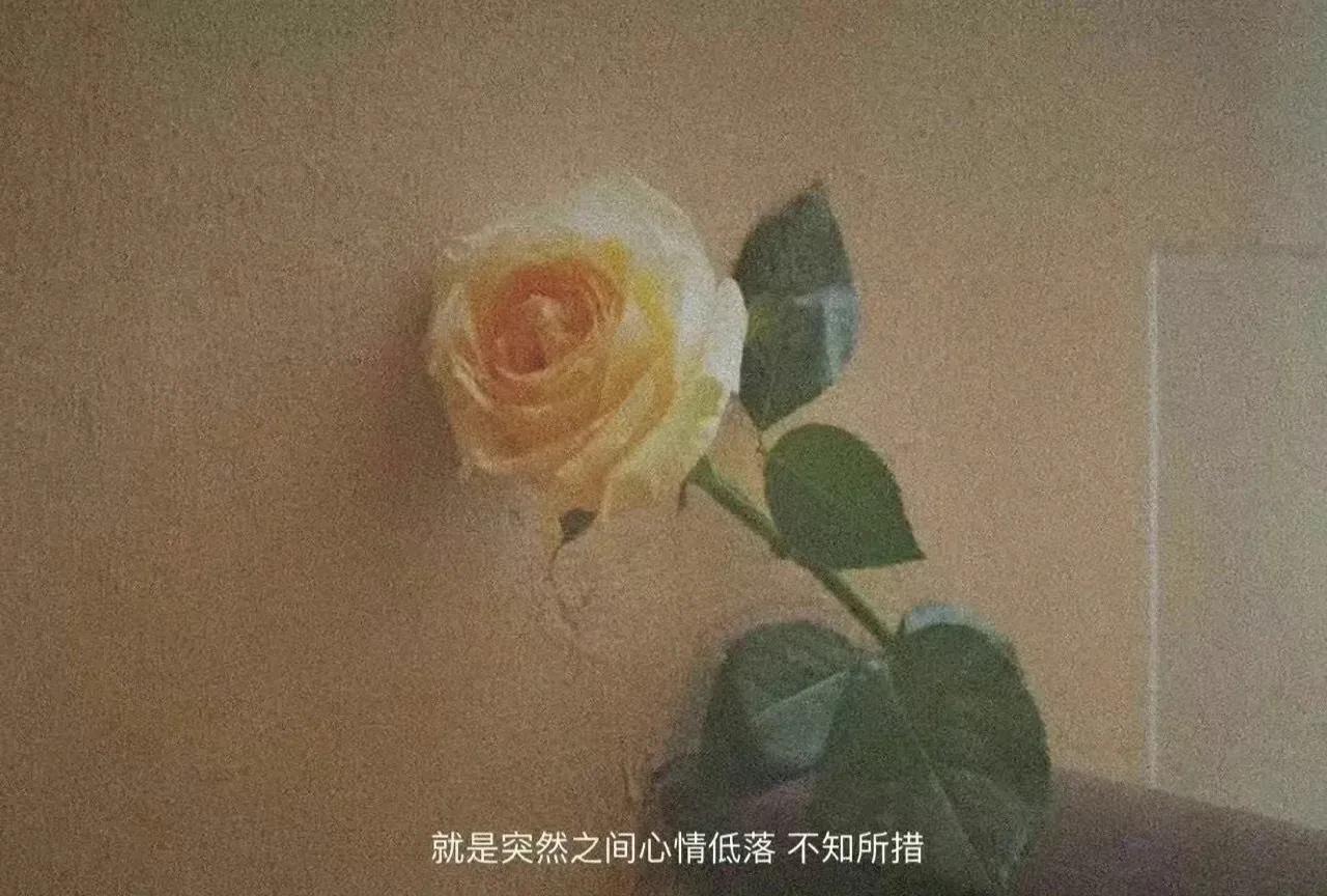 手机上有哪些靠谱的副业啊,空闲时间手机上能做的副业