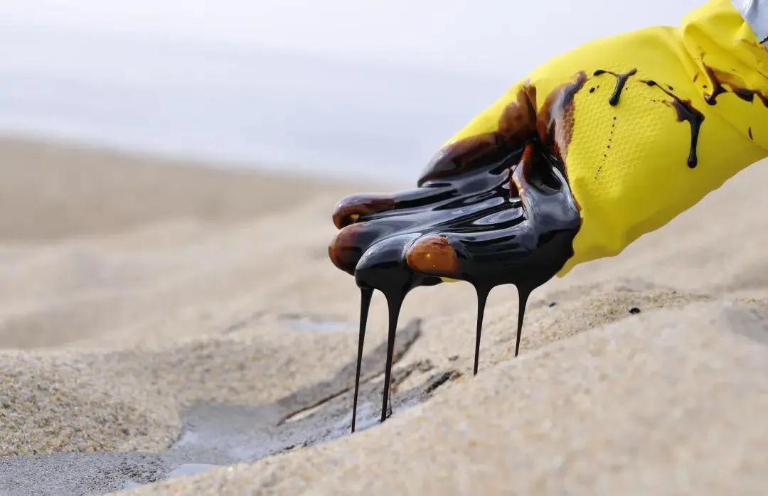 世界上第一最赚钱的公司,世界上最赚钱的公司一年赚多少钱