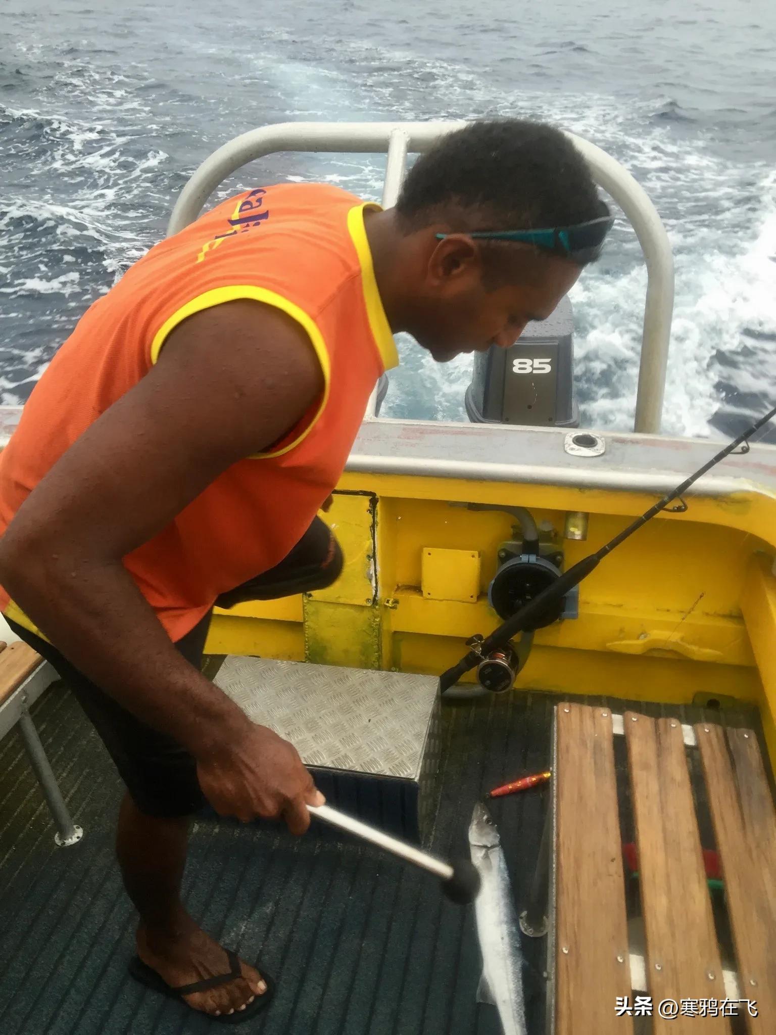 斐济黑珍珠属于什么级别,斐济黑珍珠