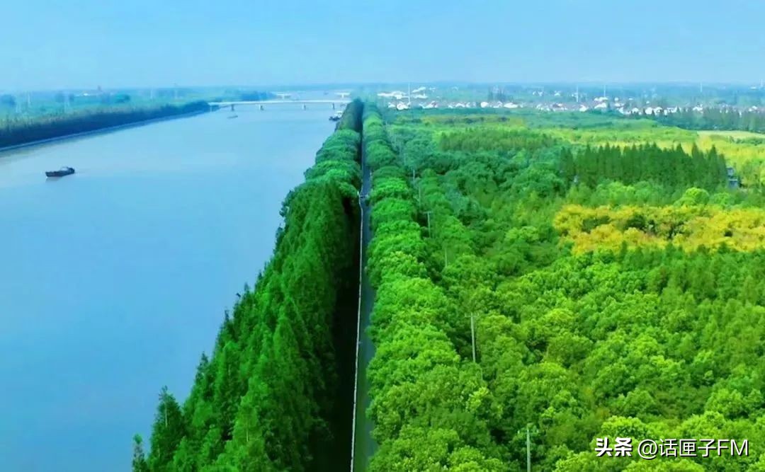 茭白新鲜生吃可以吗,新鲜茭白可以冷冻有酸味