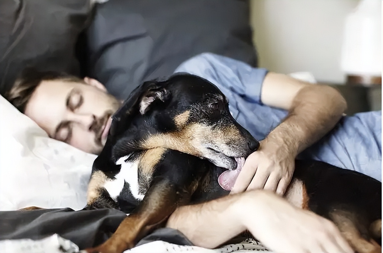 网友告诉你，让狗狗上床睡觉，会有这些后果