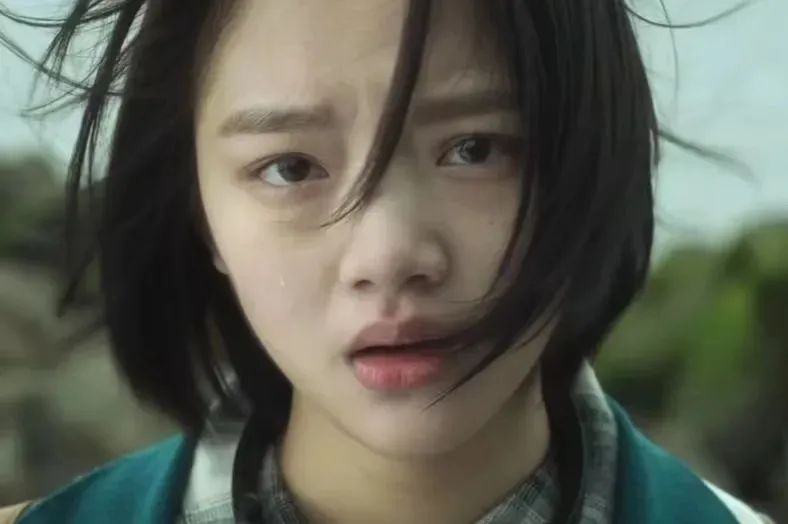 四系95花，各有各的美！