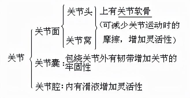 2023八年级上册生物必背考点归纳,2022八年级生物地理会考重点