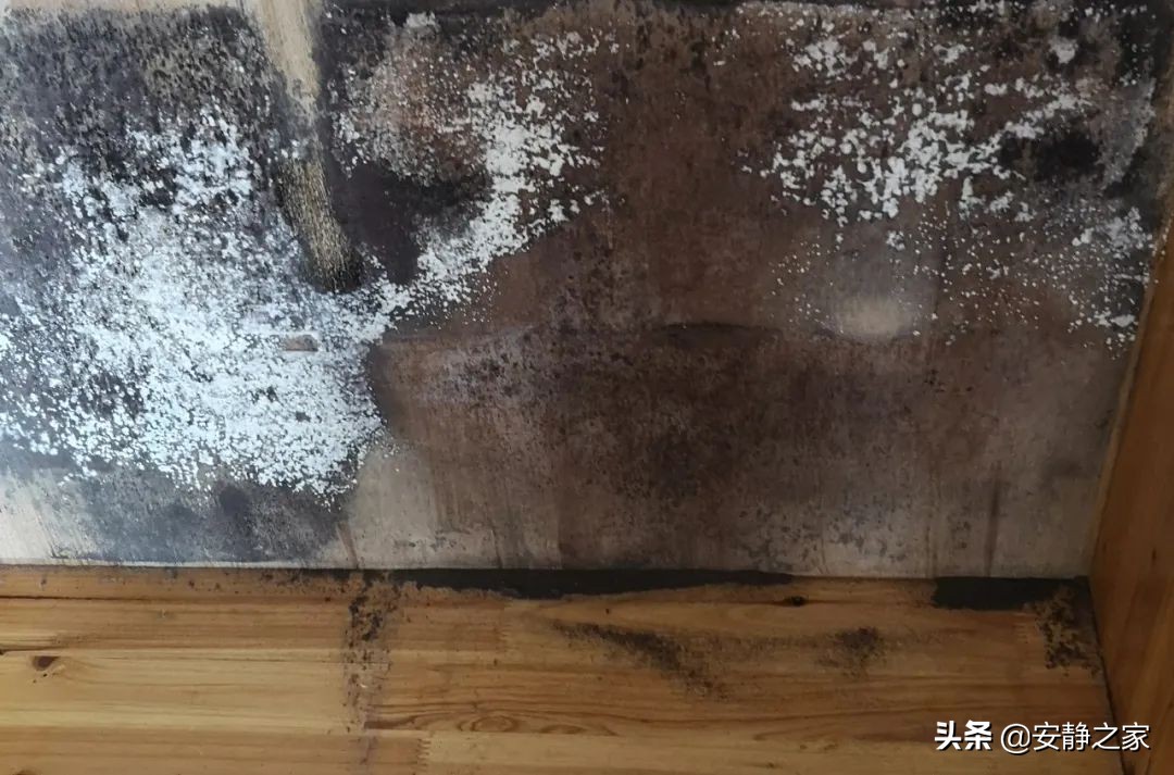 天天饱受楼上噪音困扰,此时有多少人在忍受楼上噪音