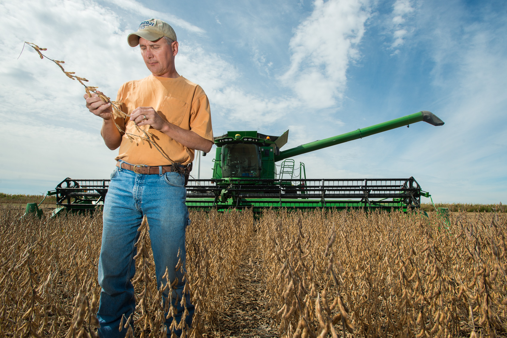 美国大豆订单最新,中国从美国采购340万吨大豆