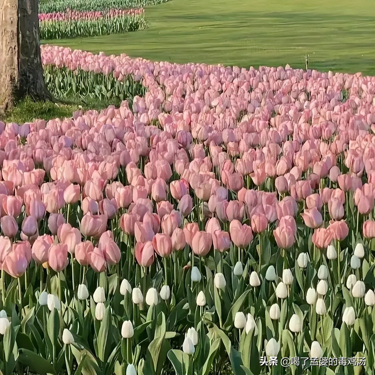 9个可以最适合免费自学的网站,7个完全不收费的高质量自学网站