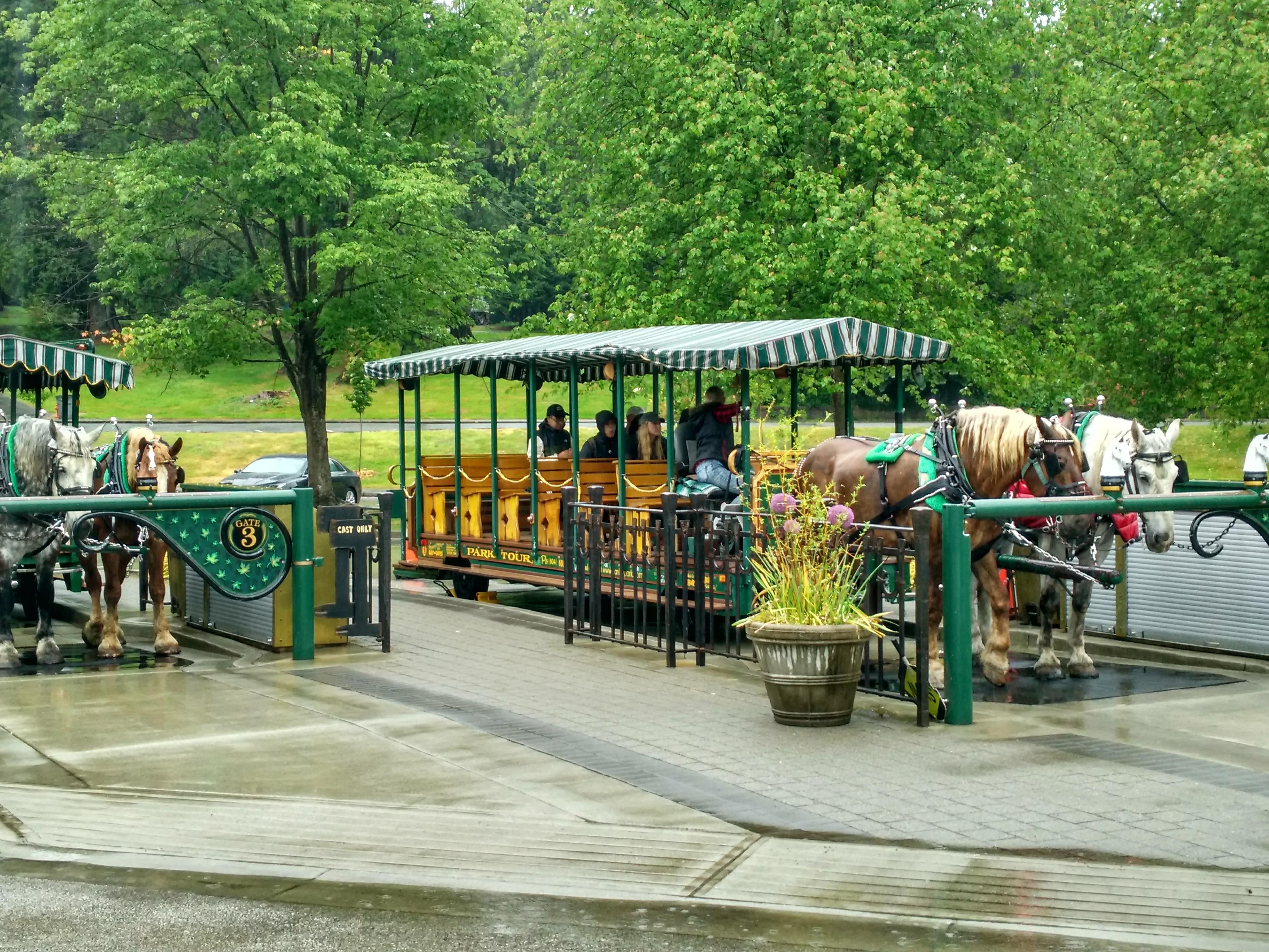 北美聚集地,加拿大华人最密集的城市