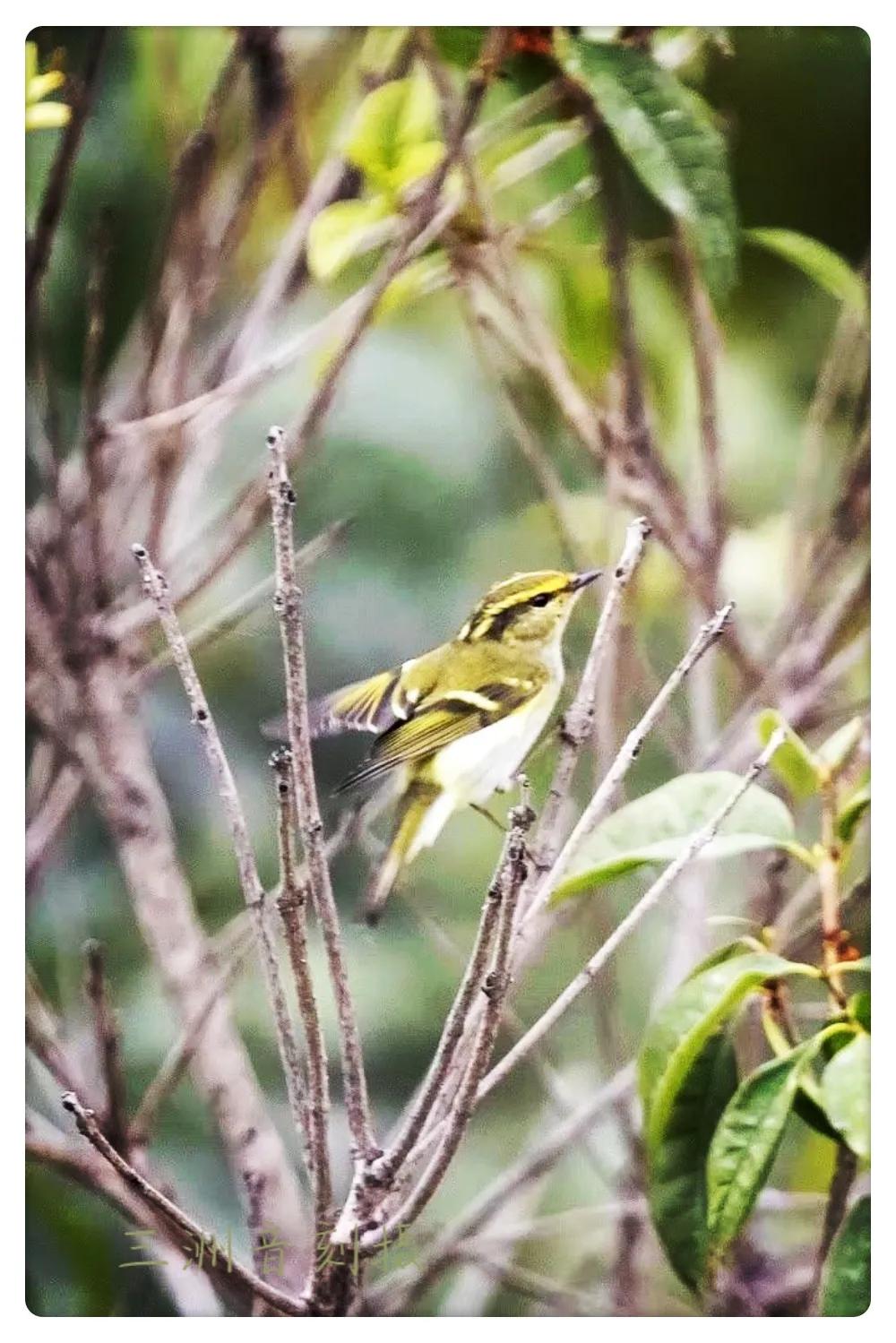 上海市嘉定区安亭国际汽车城,上海嘉定安亭国际汽车城