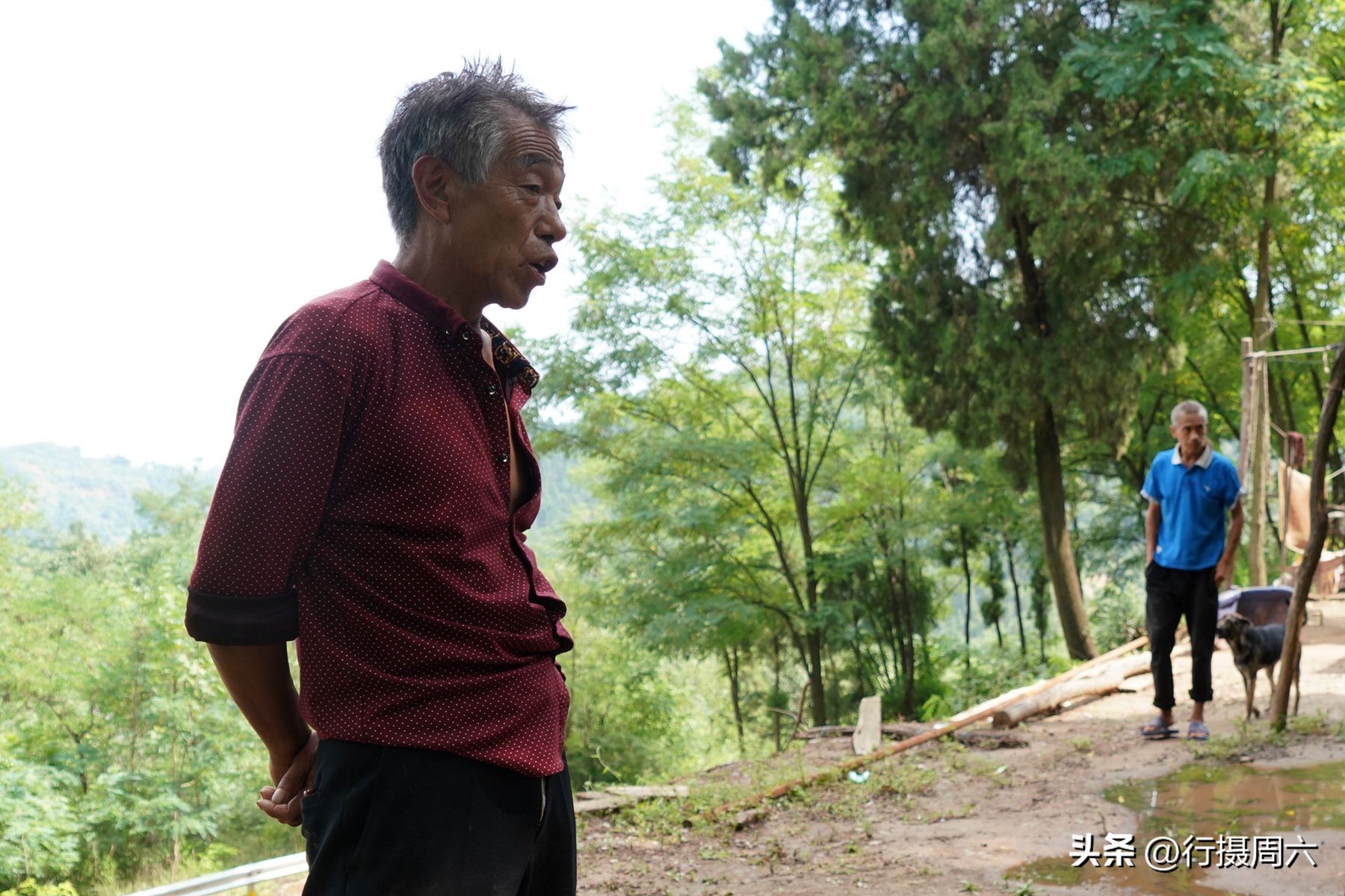 山村兄弟二人搭伙养羊，分配方法奇特，弟弟每年能分8只羊