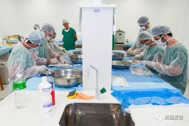 一男子为了变性为女生,竟然用鱼皮造了*体下**