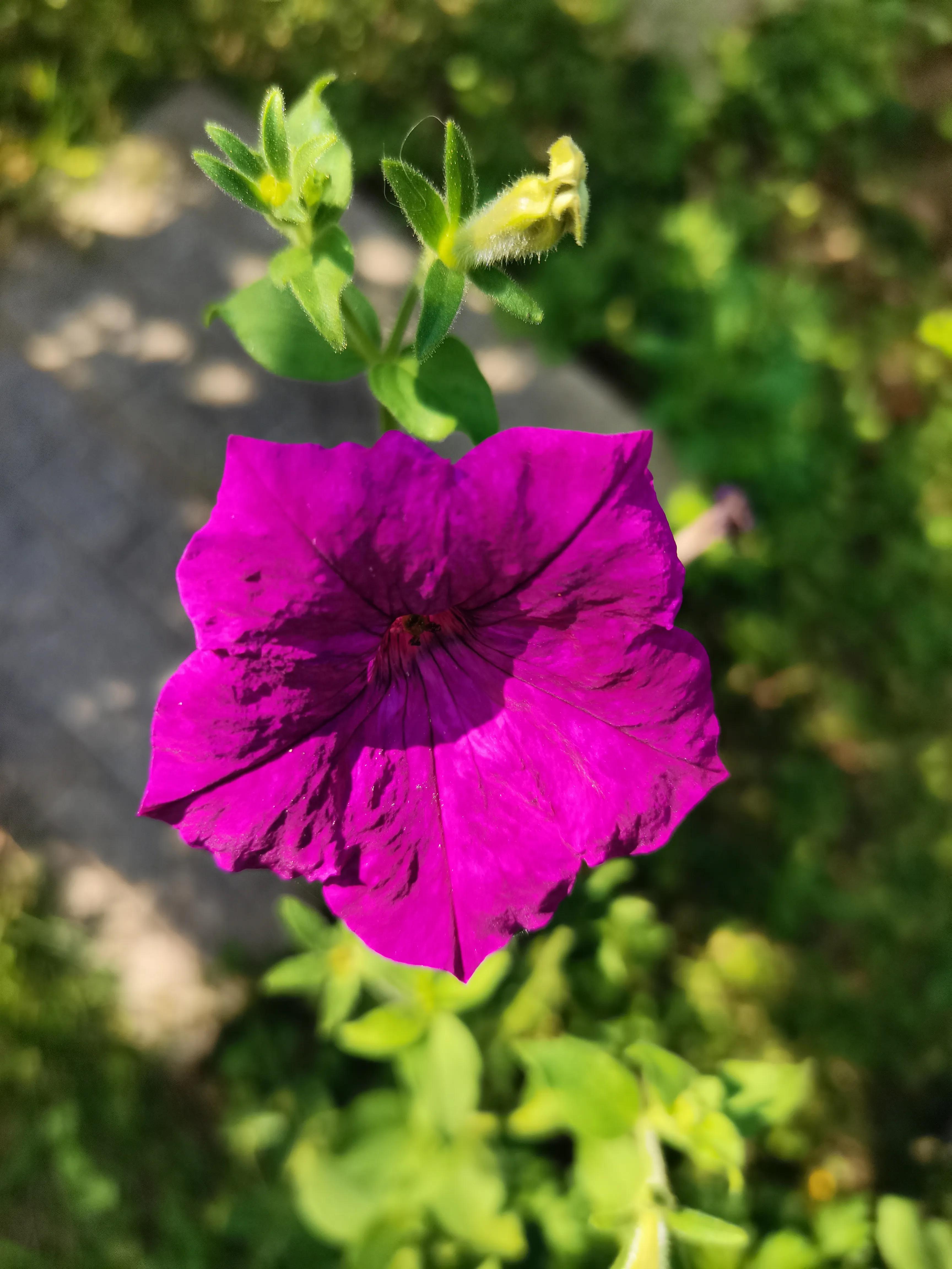 空心病七个特征,空心病怎么自愈