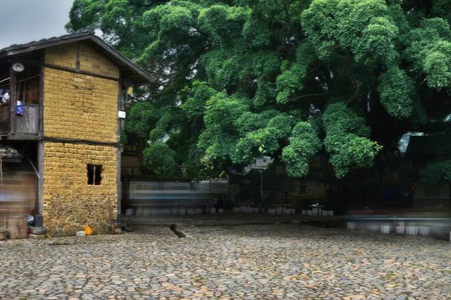 杜甫的三绝句全文解析,杜甫人生最难的七律