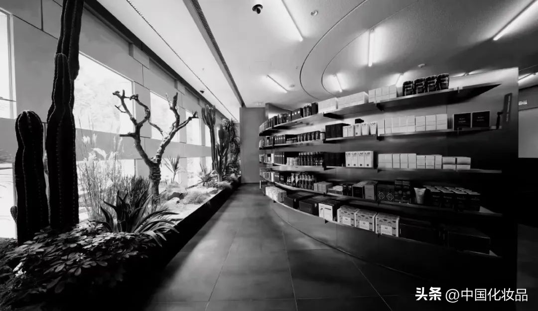 国妆化妆品跨境,国妆出海迎重大利好