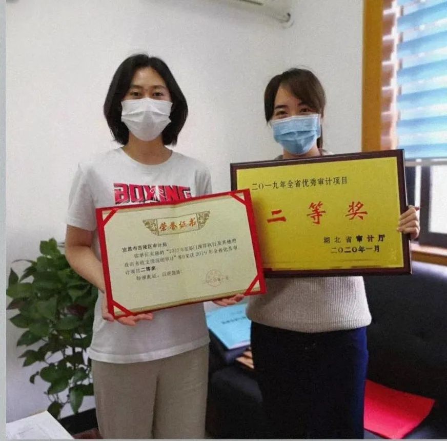 审计十年真题,审计十年演讲