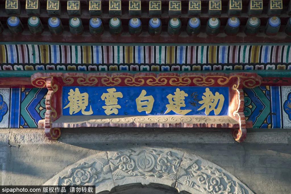 北京故宫的猫为什么叫御猫,故宫最萌的猫是什么猫